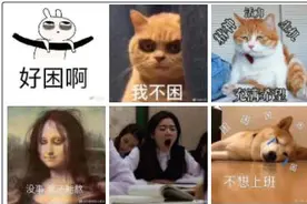 节后上班第一天怎样才能不困？妙啊……图片