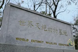 再刷世界纪录！这株“杂草”，竟是守护14亿人饭碗的“法宝”→图片