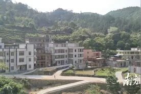 山沟沟里修山路，高州大田村打通群众出行幸福路图片