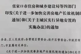 国内多城出手防止房企低价甩卖 业内：楼市风险既要防大涨，又要防大跌图片