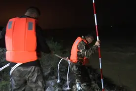 夜访黄河守堤人 | 黄河边搭起帐篷24小时值守“黄三代”绑着绳索探摸河堤根石图片
