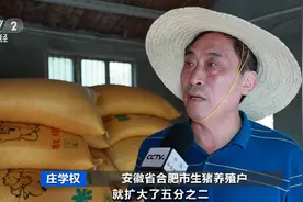 猪肉价格大跌！养一头猪亏500元？！饲料行业又迎“涨价潮”！接下来怎么走？图片
