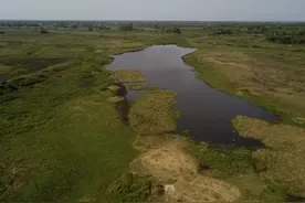 全球连线 | 探访世界上最大的湿地——潘塔纳尔湿地图片
