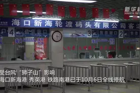 海南发布台风三级预警 琼州海峡全线停航视频封面