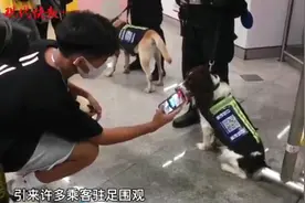 南京地铁警方带警犬“摆摊营业”，国庆假期反诈不停歇图片