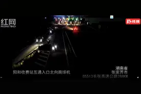 张家界：因走错匝道 一男子竟在高速路上倒车图片