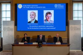 让化学变得既便宜又环保——2021年诺贝尔化学奖解读图片