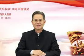 中国驻英国使馆举行纪念辛亥革命110周年座谈会图片
