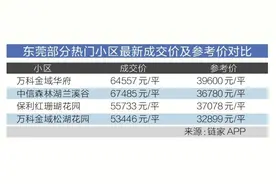 6万多变3万多！东莞发布二手房参考价图片