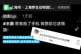 游客手机不慎掉进水池，水獭叼起归还视频封面