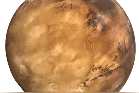 实在找不到能喝的水咋办？有人瞄准了粪便图片