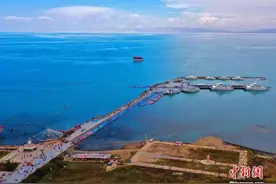水鸟翱翔、锦鳞浅底、河清湖宴……这个大湖如此多娇图片