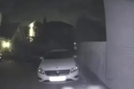 英国一户人家夜晚门铃大响“访客”居然是只鼻涕虫图片