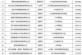2021四川民营企业100强榜单出炉 新希望通威蓝润位居前三图片