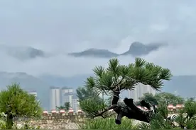 雨雾绕青山图片