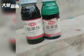 13岁女孩喝敌草快后肺部恶化 专家：或为与百草枯的混合液图片