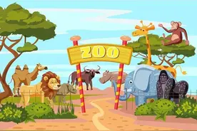 我家的小小“动物园”图片