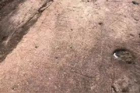 宁海首次发现神秘岩画图片