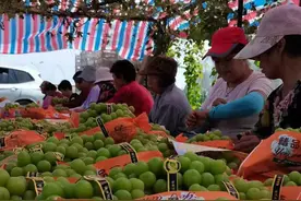 “贷”动小生意 服务大民生｜农行河北省分行推出三款“小生意”贷款产品，快看看哪款适合你图片