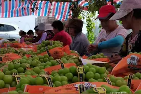 “贷”动小生意 服务大民生｜农行河北省分行推出三款“小生意”贷款产品，快看看哪款适合你图片
