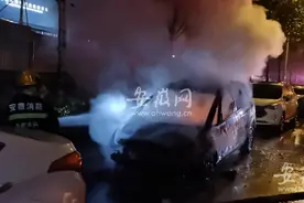 合肥：汽车凌晨突然自燃 被烧成空架图片