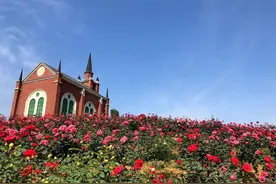 建粮优菜绿猕果花香田园综合体 引领县域乡村全面振兴图片