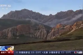 全球最美猫科动物！来看“雪山精灵”雪豹的自述→图片