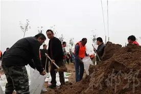 大名县营镇乡封堵涵洞裂缝图片