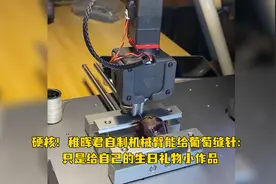 硬核！稚晖君自制机械臂能给葡萄缝针：只是给自己的生日礼物小作品视频封面