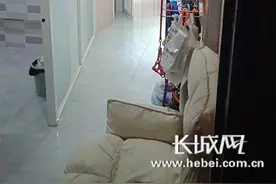 解决了吗丨承德市桥东街道：“住改商”宠物店扰民，营业执照已被收回图片