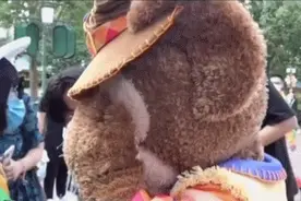 “达菲”被游客打头，上海迪士尼：希望尊重每一位演职人员图片