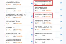 国产CPU厂商飞腾增资：阿里百度入局，持股1%和0.85%图片