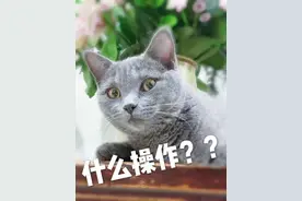 多人被骗百余万！大牌奢侈品两折卖？当心朋友圈代购有猫腻图片