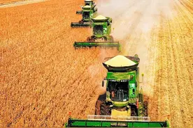 大型机车群抢收大豆图片