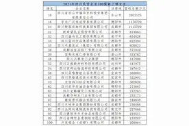 名单出炉！四川这100家企业上榜图片