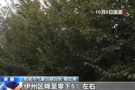 新疆哈密出现大范围雨雪 局地有12级阵风 独库公路全线封闭图片