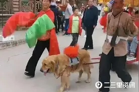 陕西一景区狗拉车载人累吐？回应来了图片