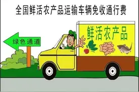 明明装了一车蔬菜，却不能走绿色通道还被收取23元高速费？芥菜不是菜？图片