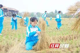体验农耕文化感受乡村振兴 望城金海学校小学部将课堂搬到田野图片