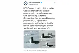 这核潜艇，北极熊都嫌弃……图片