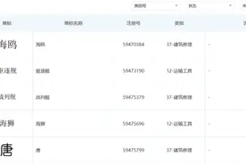 霸气！比亚迪承包“海军”，战列舰、巡洋舰、驱逐舰、登陆舰全申请了，快要发大招？图片