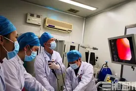 鹦鹉热致1人死亡！多种禽类可传染图片
