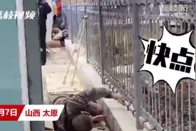 山西一男子高压变电箱旁解手遭电击，网友：可以没知识但不能没常识图片