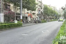 什么鬼斧神工？让静安的“天鹅绒紫薇”又又开了图片
