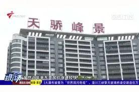 东莞：二手房交易参考价正式出台视频封面