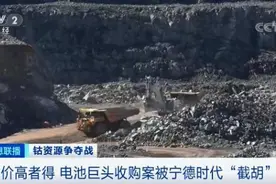 “钴奶奶”价格疯涨！20年需求量或将暴增20倍图片