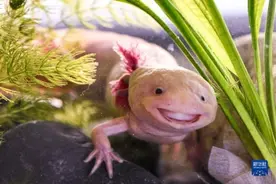 国际·一周看天下图片