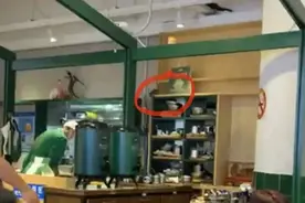倒胃口！上海南京东路知名商场内一餐厅，老鼠从天而降，上蹿下跳...图片