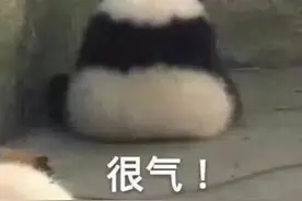 肉眼可见的疼！上海迪士尼“达菲”被游客打头，此类事件为何屡次发生？图片