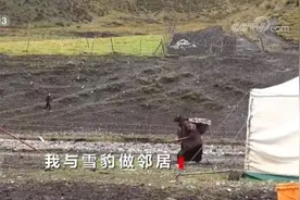 焦点访谈丨和野生动物共享同一片土地 中国生物多样性保护不断取得新成效图片